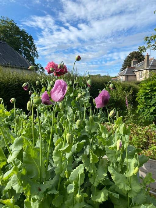 Glenburn, Private Studio Accommodation In Fochabers Luaran gambar