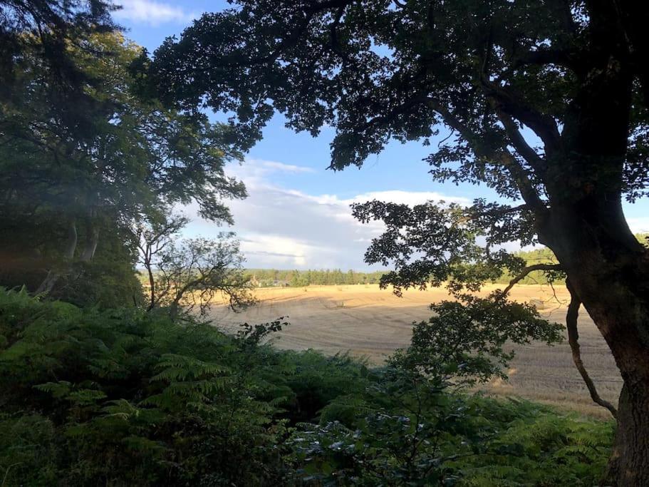 Glenburn, Private Studio Accommodation In Fochabers Luaran gambar